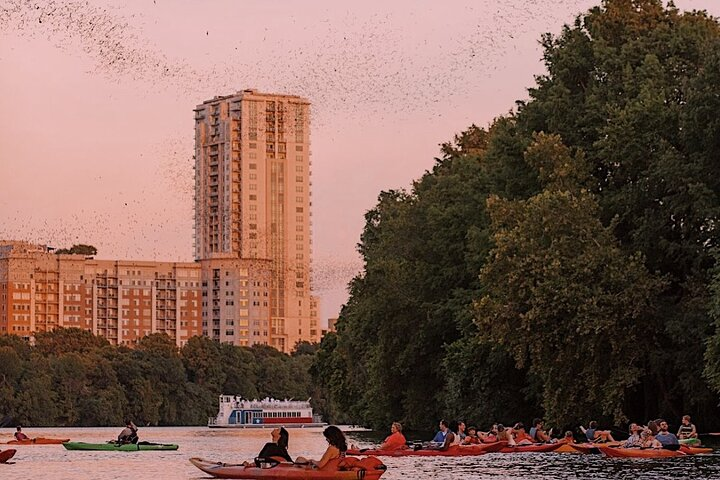 Guided Sunset Bat Kayak Tour in Austin - Photo 1 of 6